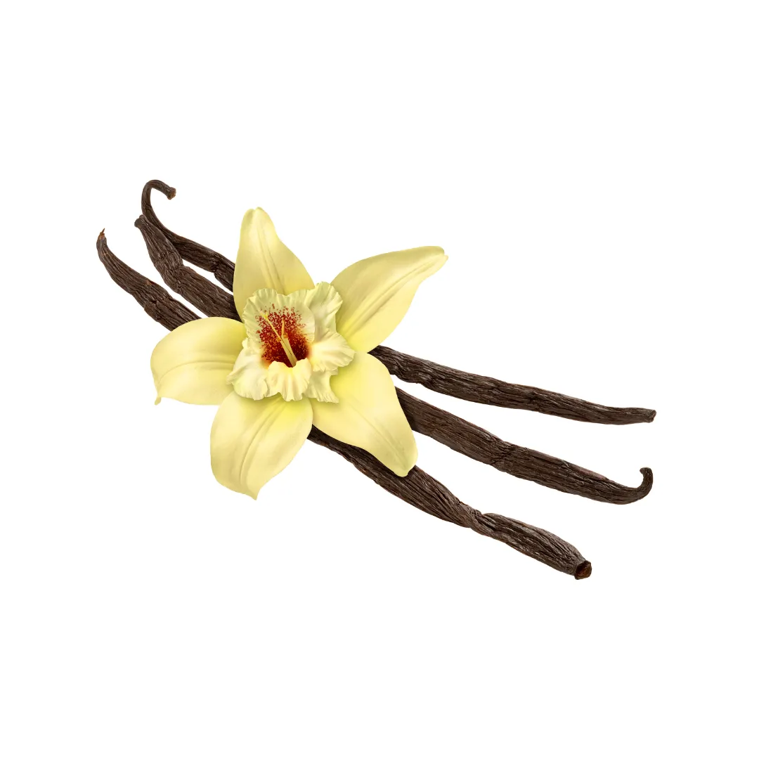 VAINA DE VAINILLA – 1 un U12501