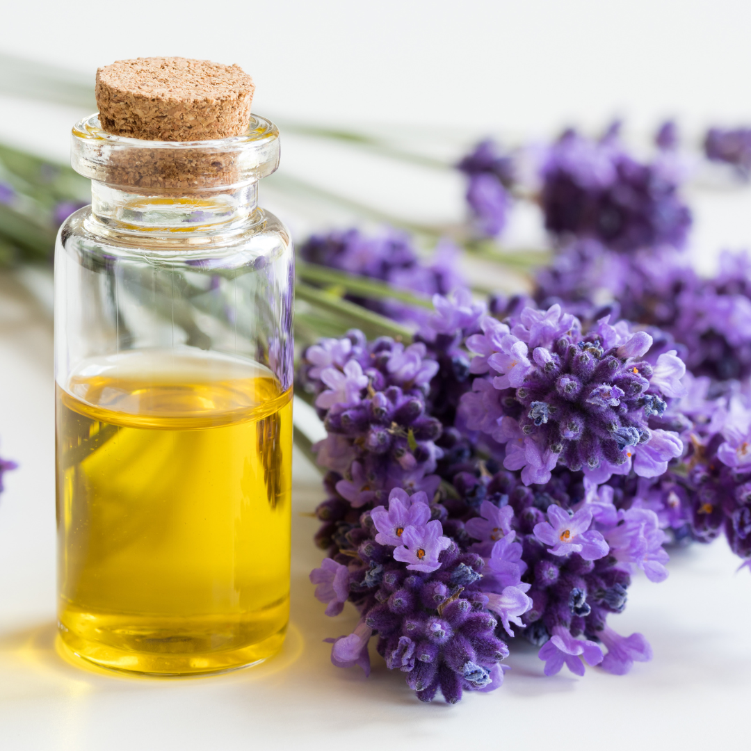 ESENCIA FRESH LAVENDER CARE – 20 g U11691 - Imagen 2